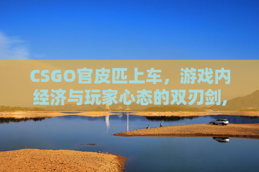 CSGO官皮匹上车，游戏内经济与玩家心态的双刃剑,CSGO皮肤