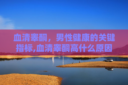 血清睾酮，男性健康的关键指标,血清睾酮高什么原因
