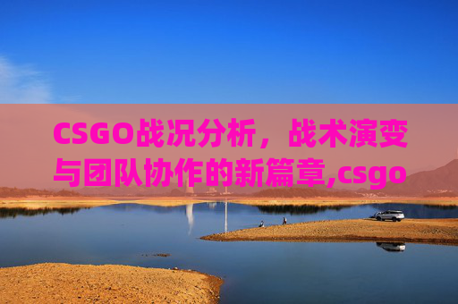 CSGO战况分析，战术演变与团队协作的新篇章,csgo战况最新消息今天