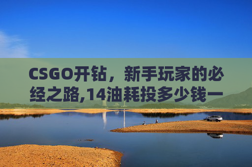 CSGO开钻，新手玩家的必经之路,14油耗投多少钱一公里