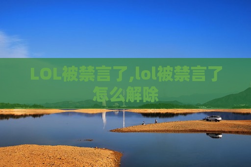LOL被禁言了,lol被禁言了怎么解除