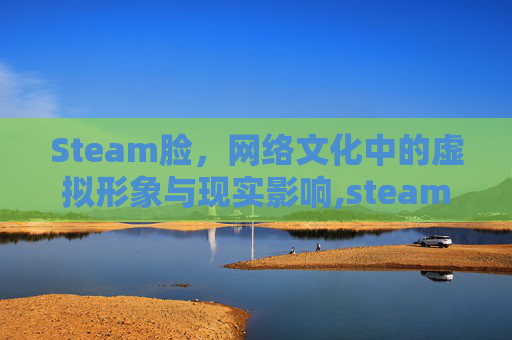 Steam脸，网络文化中的虚拟形象与现实影响,steam练枪软件