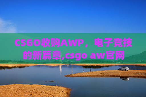 CSGO收购AWP，电子竞技的新篇章,csgo aw官网
