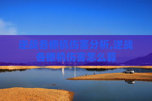 逆战各僚机伤害分析,逆战各僚机伤害怎么算