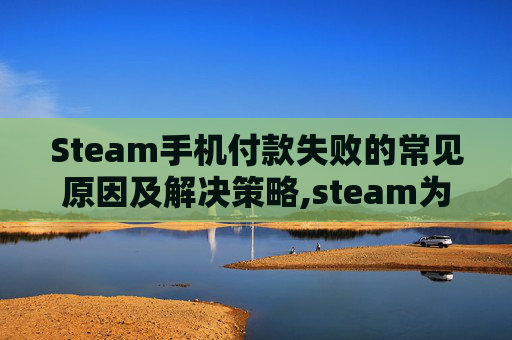 Steam手机付款失败的常见原因及解决策略,steam为什么付不了款