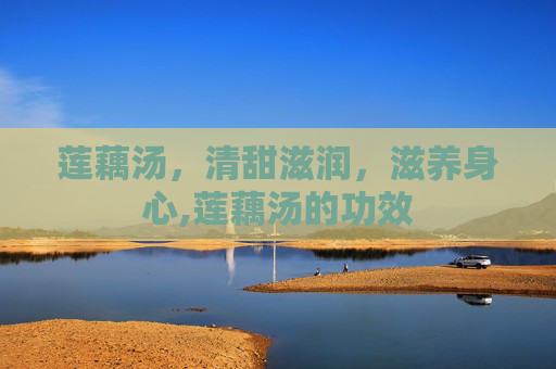 莲藕汤，清甜滋润，滋养身心,莲藕汤的功效