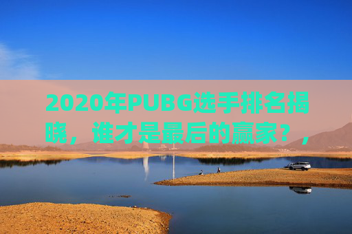 2020年PUBG选手排名揭晓，谁才是最后的赢家？,pubg历史十大顶尖选手