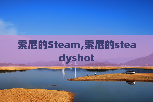 索尼的Steam,索尼的steadyshot
