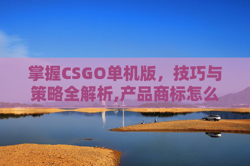 掌握CSGO单机版，技巧与策略全解析,产品商标怎么查