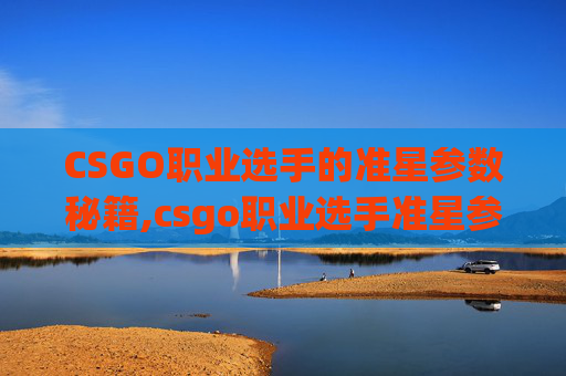 CSGO职业选手的准星参数秘籍,csgo职业选手准星参数代码国服