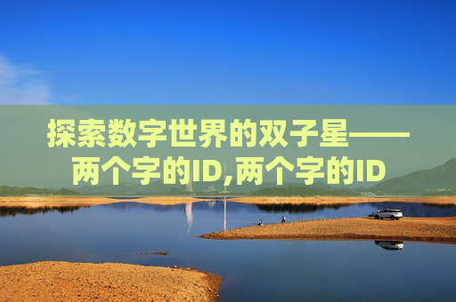 探索数字世界的双子星——两个字的ID,两个字的ID