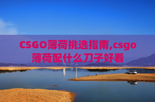 CSGO薄荷挑选指南,csgo薄荷配什么刀子好看 CSGO薄荷挑选指南,csgo薄荷配什么刀子好看