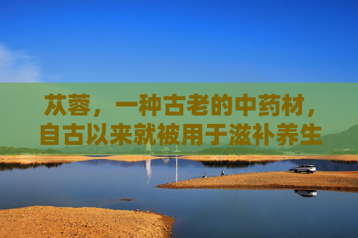 苁蓉，一种古老的中药材，自古以来就被用于滋补养生。它不仅是一种珍贵的药材，更是一种具有多种功效的天然保健品。接下来，我们将探讨苁蓉的功效及其在现代生活中的应用。,肉苁蓉有什么功效与作用