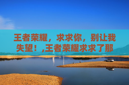 王者荣耀，求求你，别让我失望！,王者荣耀求求了那个表情