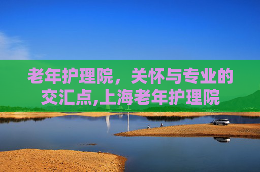 老年护理院，关怀与专业的交汇点,上海老年护理院