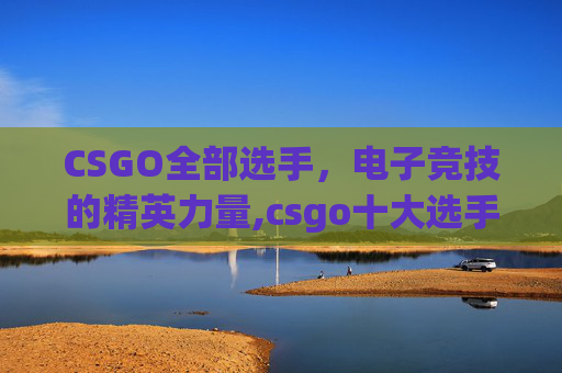 CSGO全部选手，电子竞技的精英力量,csgo十大选手