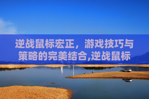 逆战鼠标宏正，游戏技巧与策略的完美结合,逆战鼠标宏为什么会动