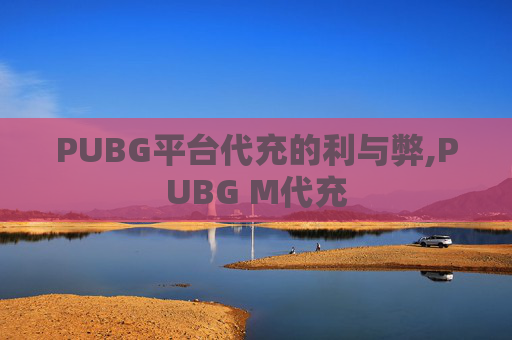 PUBG平台代充的利与弊,PUBG M代充