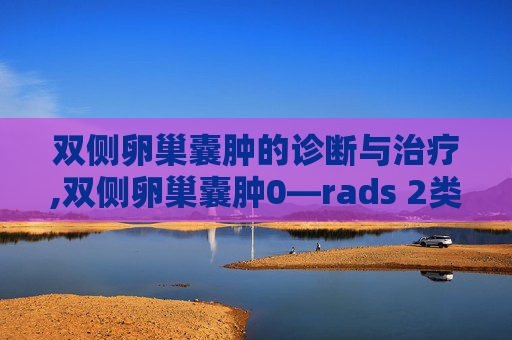 双侧卵巢囊肿的诊断与治疗,双侧卵巢囊肿0—rads 2类
