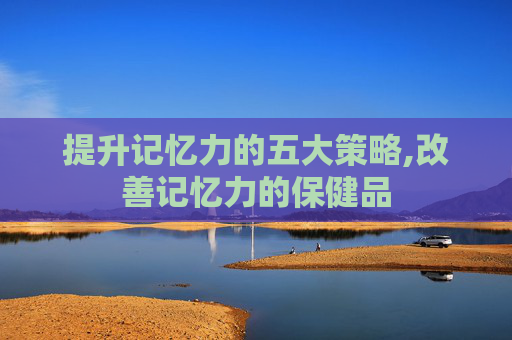 提升记忆力的五大策略,改善记忆力的保健品