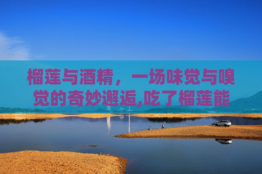 榴莲与酒精，一场味觉与嗅觉的奇妙邂逅,吃了榴莲能喝酒吗一小时