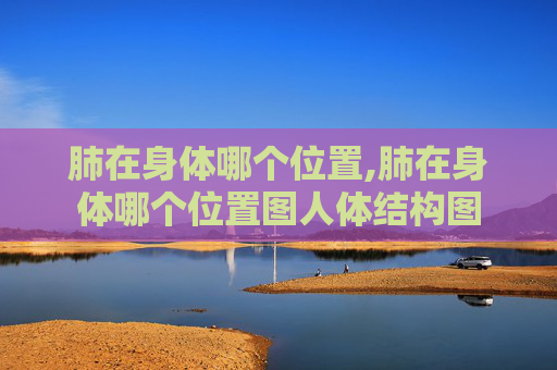 肺在身体哪个位置,肺在身体哪个位置图人体结构图