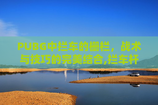 PUBG中拦车的栅栏，战术与技巧的完美结合,拦车杆栅栏式升降杆