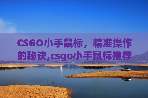 CSGO小手鼠标，精准操作的秘诀,csgo小手鼠标推荐