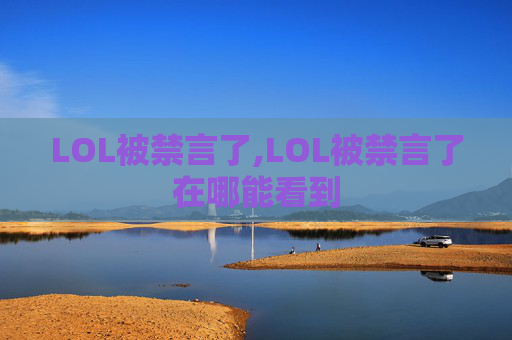 LOL被禁言了,LOL被禁言了在哪能看到