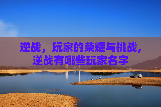 逆战，玩家的荣耀与挑战,逆战有哪些玩家名字