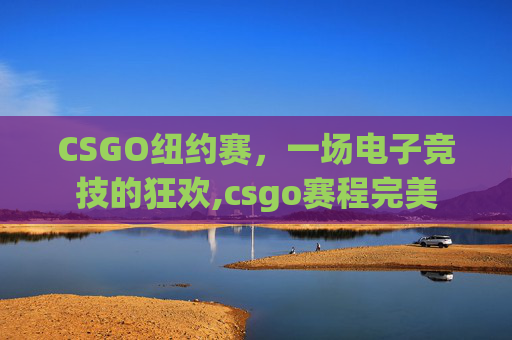 CSGO纽约赛，一场电子竞技的狂欢,csgo赛程完美