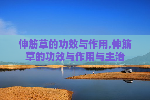 伸筋草的功效与作用,伸筋草的功效与作用与主治
