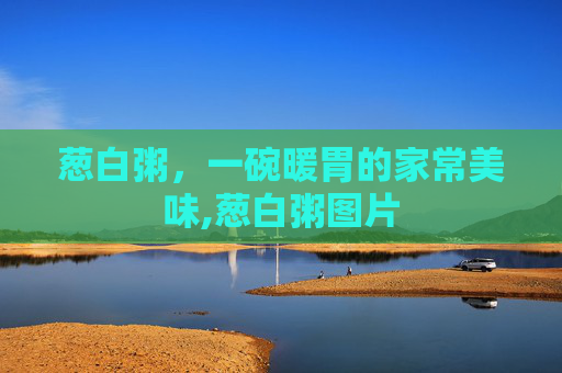 葱白粥，一碗暖胃的家常美味,葱白粥图片