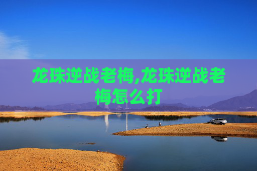 龙珠逆战老梅,龙珠逆战老梅怎么打