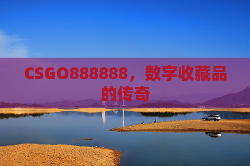 CSGO888888，数字收藏品的传奇