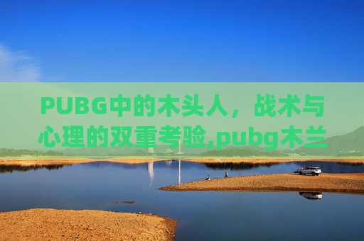 PUBG中的木头人，战术与心理的双重考验,pubg木兰