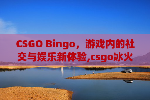 CSGO Bingo，游戏内的社交与娱乐新体验,csgo冰火模板查询