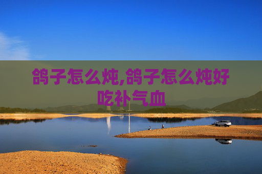 鸽子怎么炖,鸽子怎么炖好吃补气血