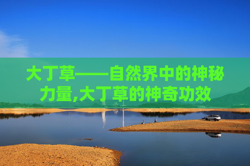 大丁草——自然界中的神秘力量,大丁草的神奇功效