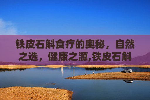 铁皮石斛食疗的奥秘,自然之选,健康之源,铁皮石斛食疗方法 铁皮石斛食疗的奥秘,自然之选,健康之源,铁皮石斛食疗方法