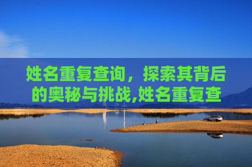姓名重复查询，探索其背后的奥秘与挑战,姓名重复查询全国