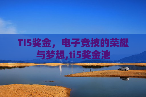 TI5奖金，电子竞技的荣耀与梦想,ti5奖金池