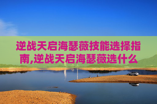 逆战天启海瑟薇技能选择指南,逆战天启海瑟薇选什么技能好