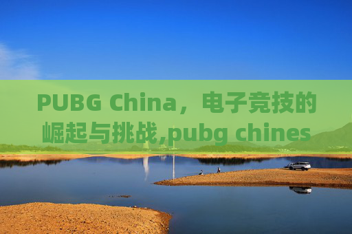 PUBG China，电子竞技的崛起与挑战,pubg chinese version download
