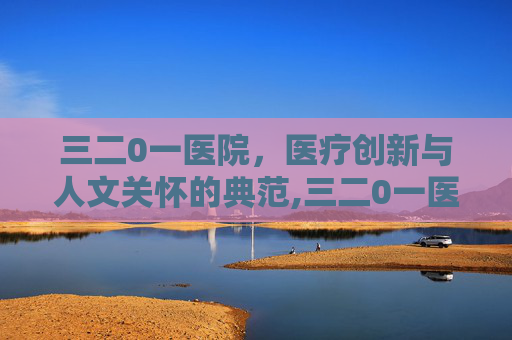 三二0一医院，医疗创新与人文关怀的典范,三二0一医院官网