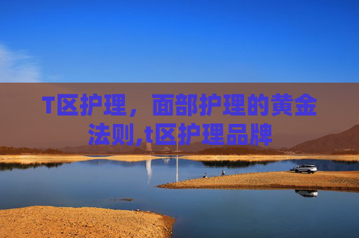 T区护理，面部护理的黄金法则,t区护理品牌