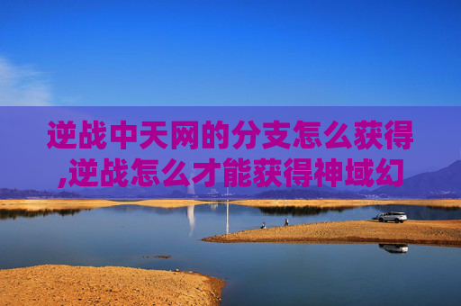逆战中天网的分支怎么获得,逆战怎么才能获得神域幻相