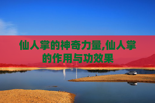 仙人掌的神奇力量,仙人掌的作用与功效果