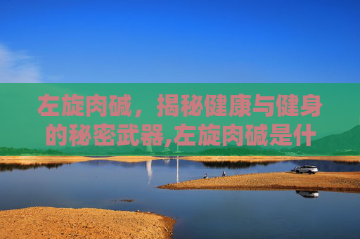 左旋肉碱，揭秘健康与健身的秘密武器,左旋肉碱是什么东西?