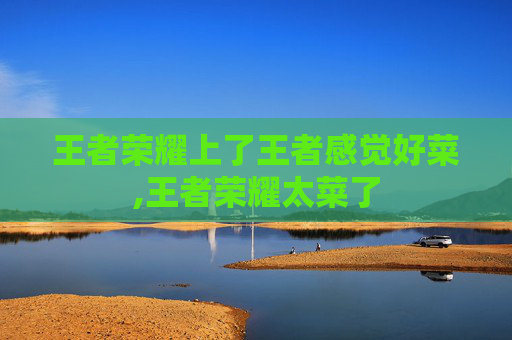 王者荣耀上了王者感觉好菜,王者荣耀太菜了